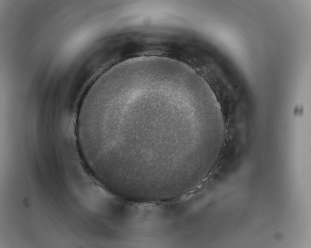 X0000101120146200807241208