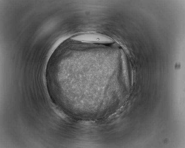 X0000101120147200807241208
