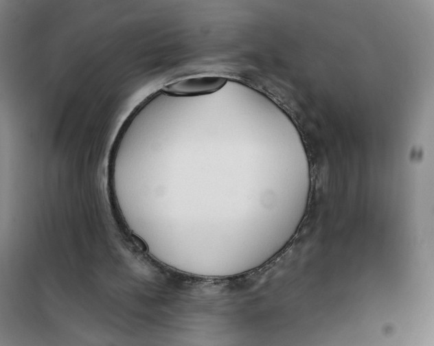 X0000101120148200807241208