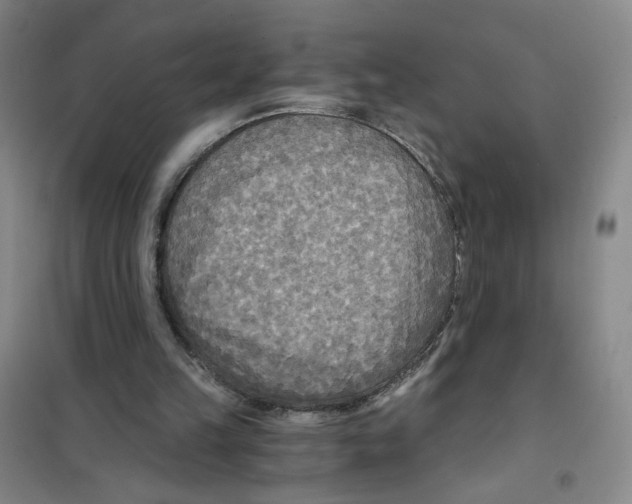X0000101120149200807241208