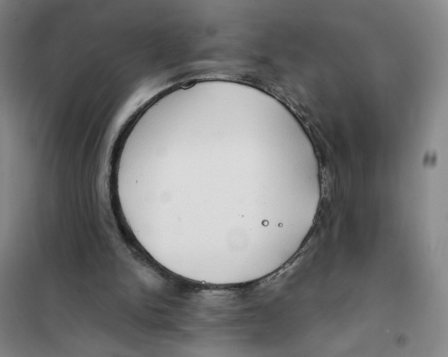 X0000101120150200807241208