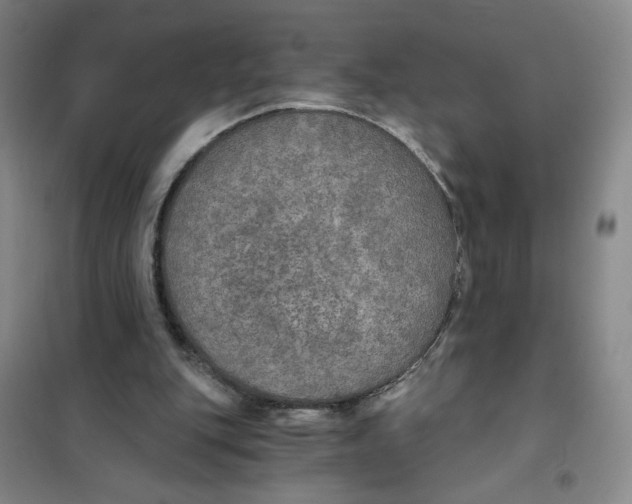 X0000101120151200807241208