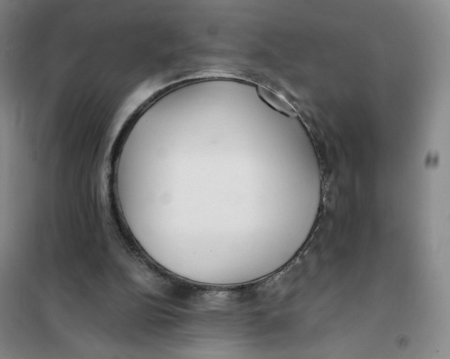 X0000101120152200807241208