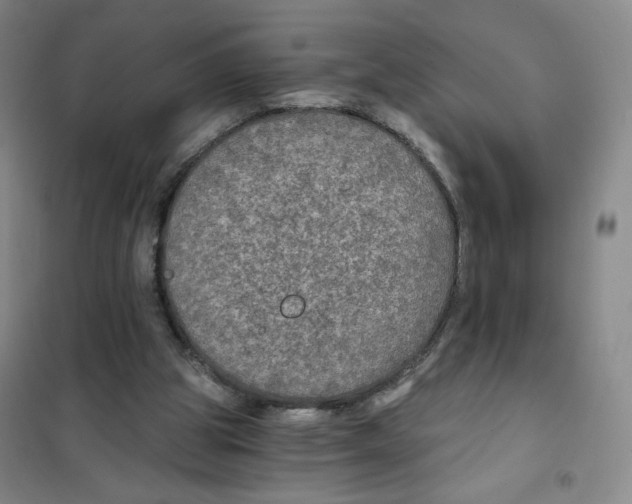 X0000101120153200807241208