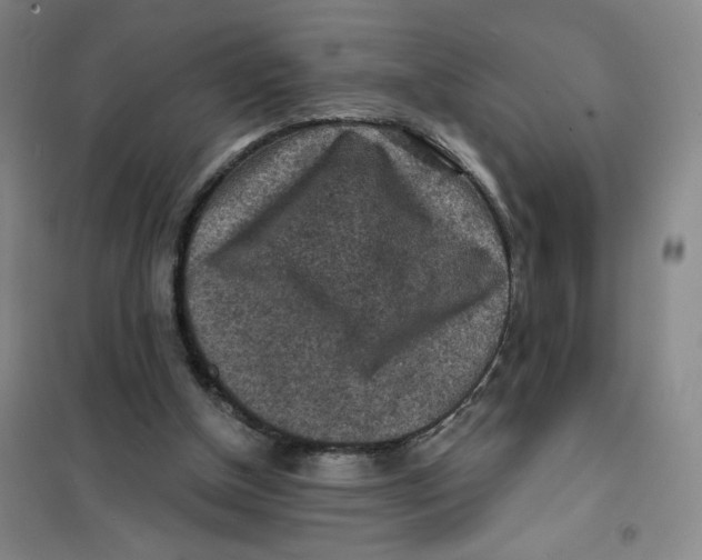 X0000101120154200807241208