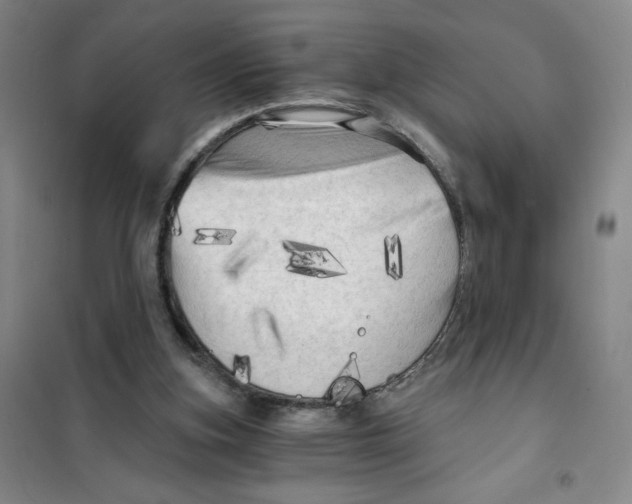 X0000101120155200807241208