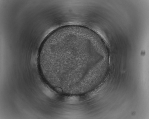 X0000101120156200807241208