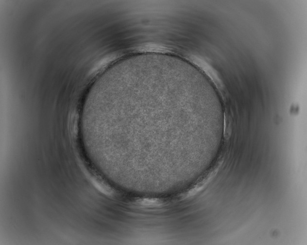 X0000101120157200807241208