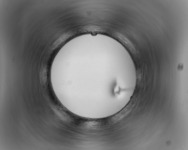X0000101120158200807241208
