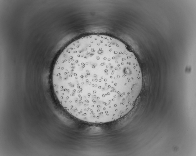X0000101120159200807241208