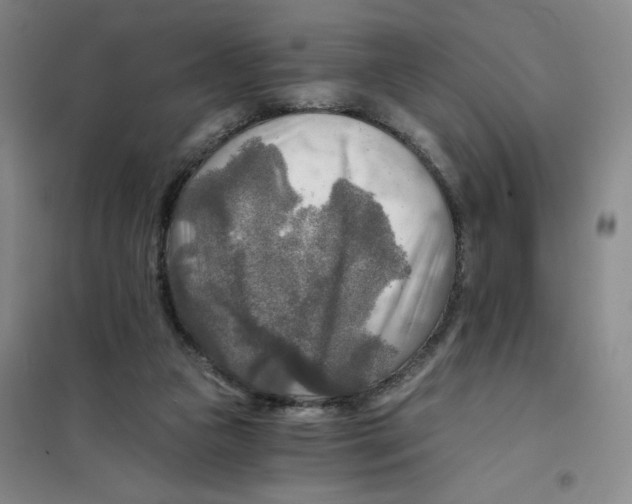 X0000101120161200807241208