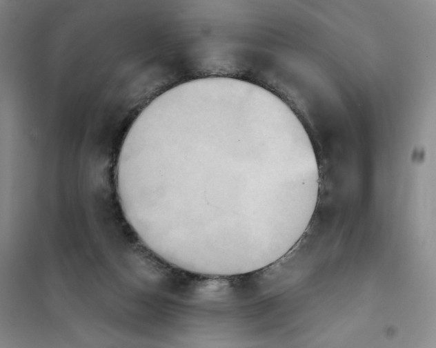 X0000101120162200807241208