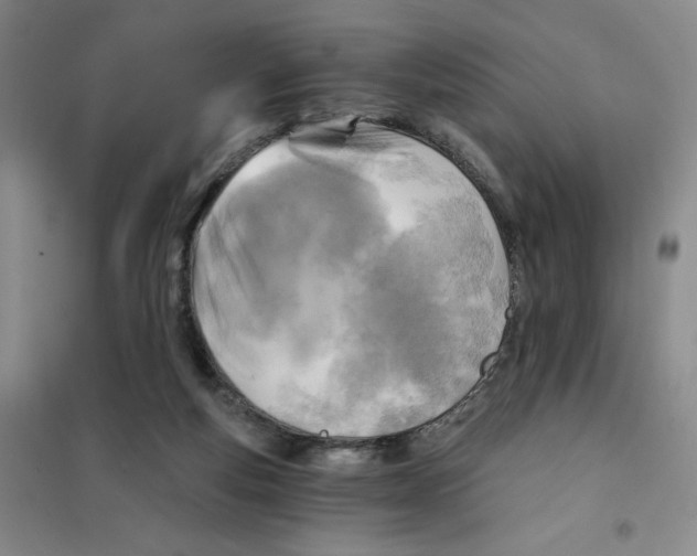 X0000101120163200807241208