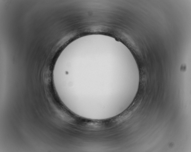 X0000101120164200807241208