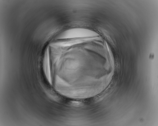 X0000101120167200807241208