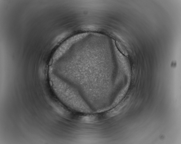 X0000101120168200807241208