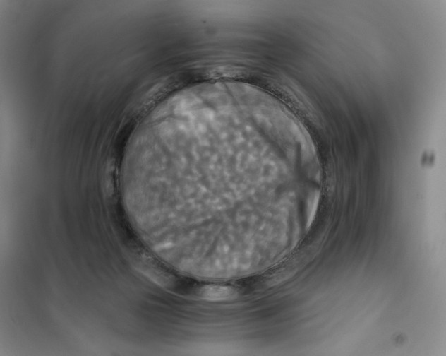 X0000101120169200807241208