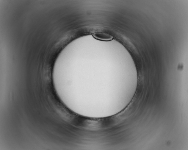 X0000101120170200807241208
