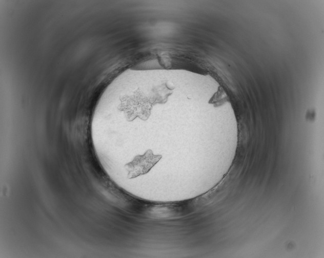 X0000101120171200807241208
