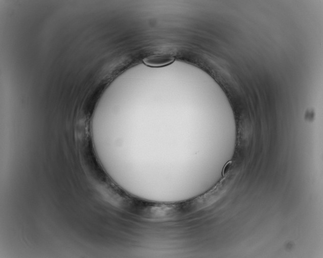 X0000101120172200807241208