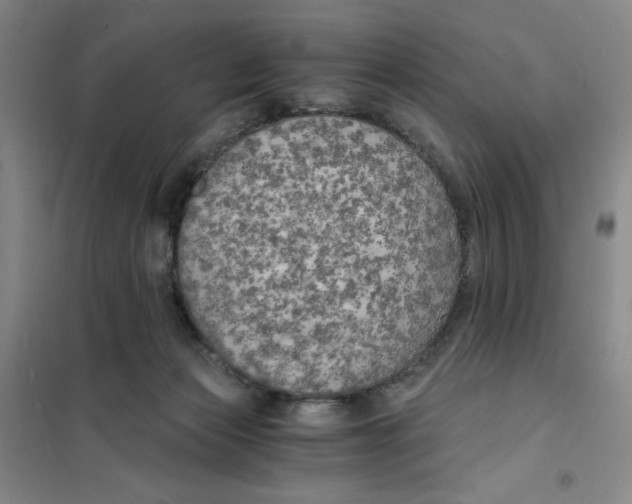 X0000101120173200807241208