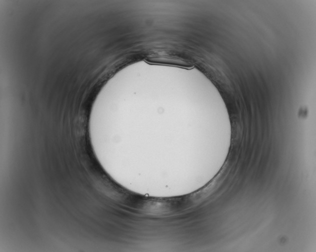 X0000101120174200807241208