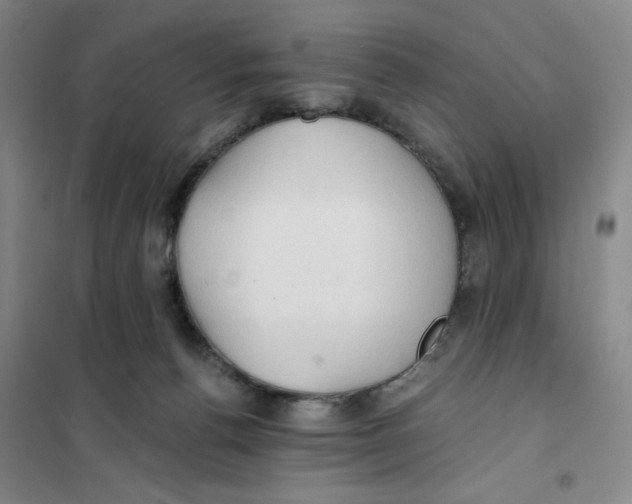 X0000101120176200807241208