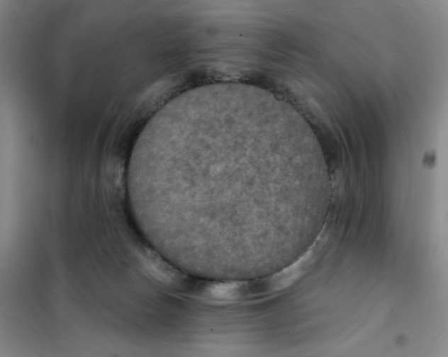 X0000101120178200807241208