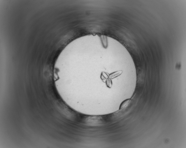 X0000101120179200807241208