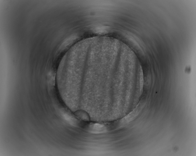 X0000101120180200807241208