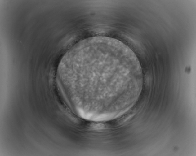 X0000101120181200807241208