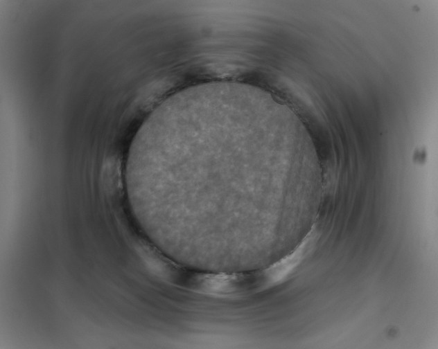 X0000101120182200807241208