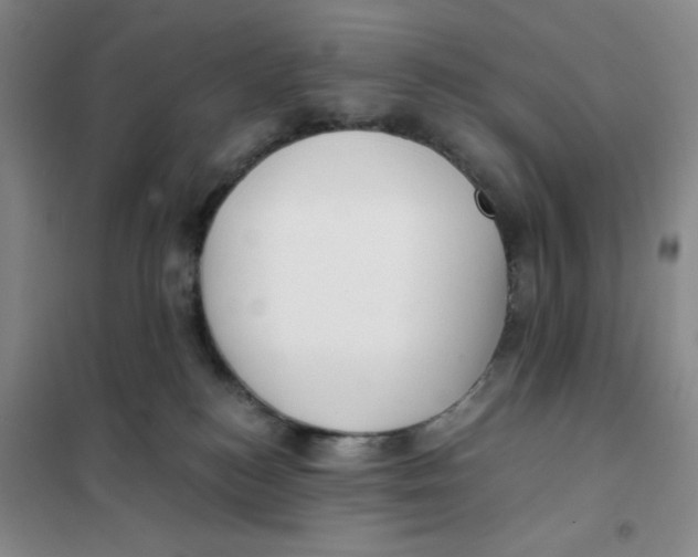 X0000101120184200807241208