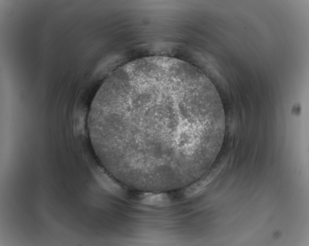 X0000101120185200807241208