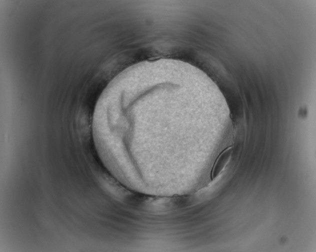 X0000101120186200807241208
