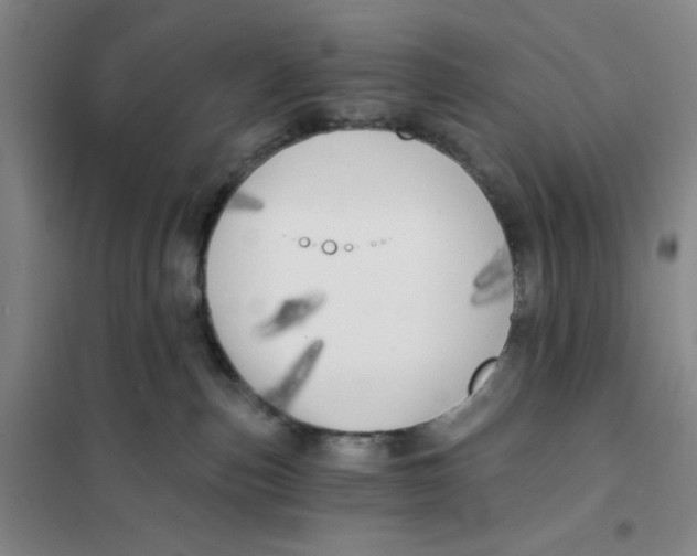 X0000101120187200807241208