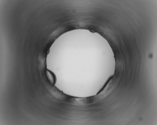X0000101120188200807241208