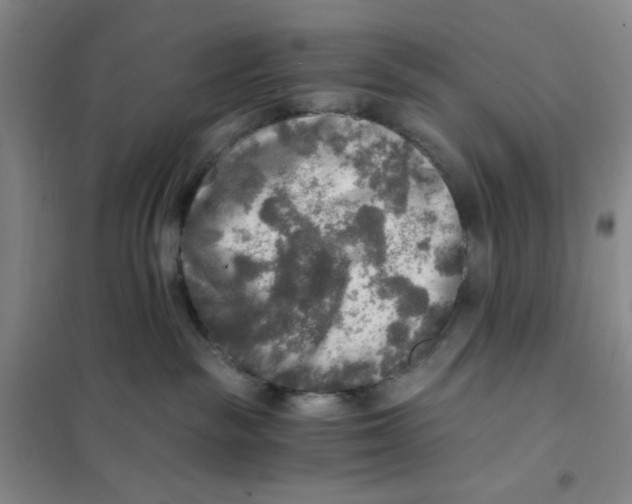 X0000101120189200807241208