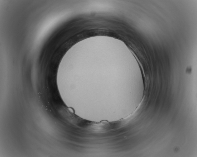 X0000101120190200807241208