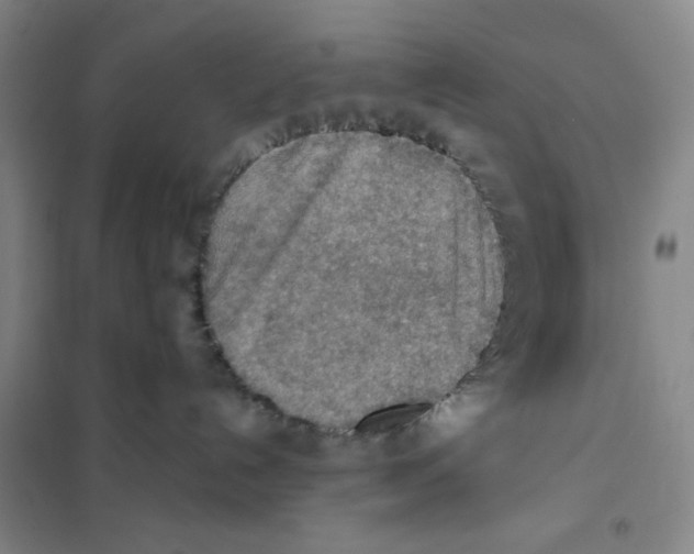 X0000101120192200807241208