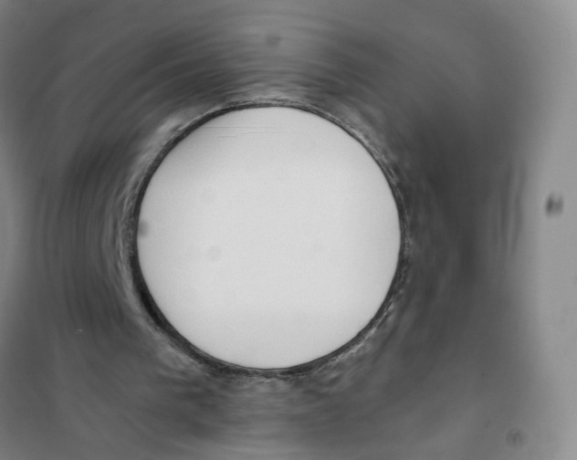 X0000101120193200807241208