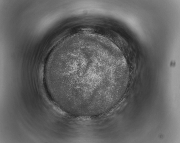 X0000101120194200807241208