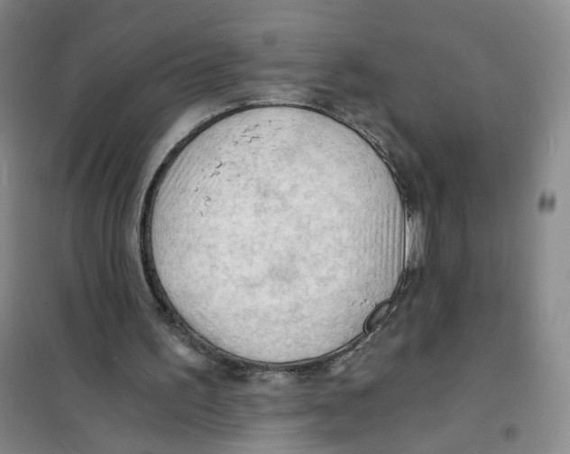 X0000101120195200807241208