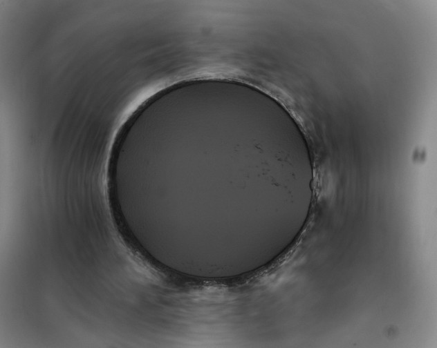 X0000101120196200807241207