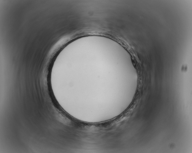 X0000101120197200807241207