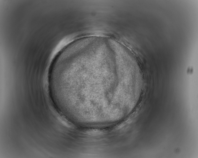 X0000101120198200807241207