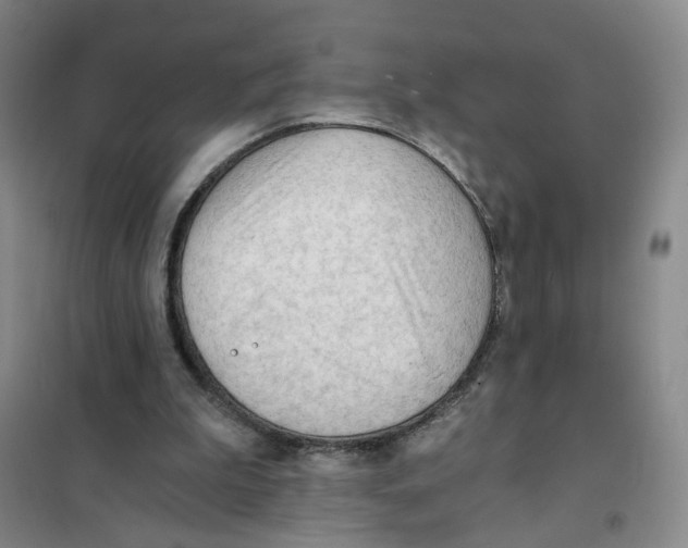X0000101120199200807241207