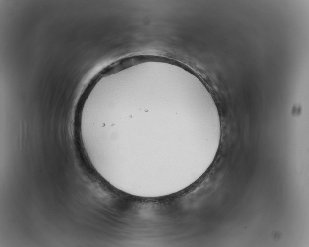 X0000101120200200807241207