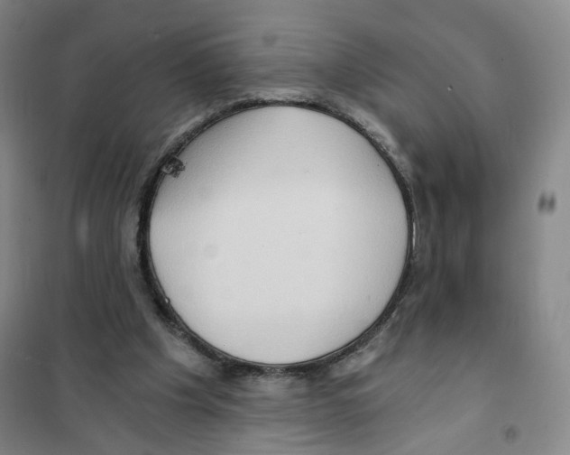 X0000101120201200807241207