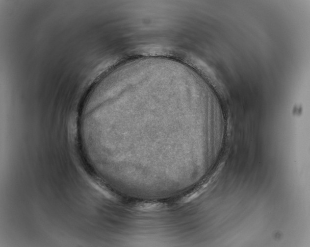 X0000101120202200807241207